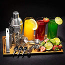 Mixology & Craft Stainless Steel 10 Piece Home Cocktail Mixology Tool Kit – With Bartender's Professional Shaker, Strainer, Jigger, Liquor Pourers and More – Attractive Gift Box and 100% Guarantee