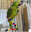 7pcs Birds Cage Swing Set Parrots Toys with Bell Colorful Chewing Hanging Hammock for Parakeets, Macaws, Conures, Budgies, Lovebirds, Mynah, Cockatiel, Finches