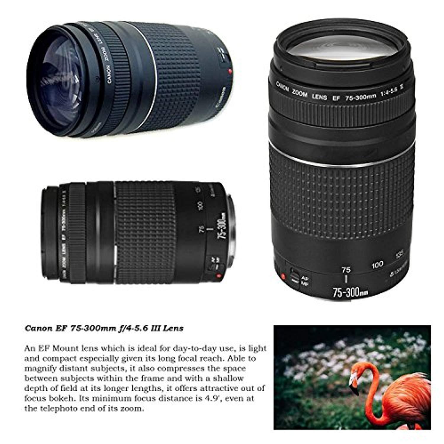 Canon EOS Rebel T6 DSLR Camera with 18-55mm IS II Lens Bundle + Canon EF 75-300mm f/4-5.6 III Lens and 500mm Preset Lens + 32GB Memory + Filters + Monopod + Spider Tripod + Professional Bundle