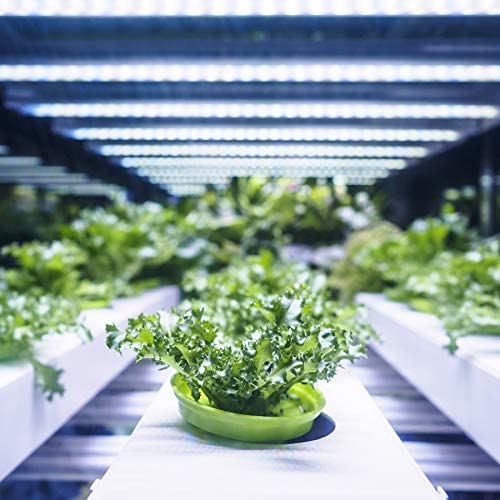 Feit Electric GLP24FS/19W/LED Dual Full LED Plant Tube Light, 1.73” H x 23.33” L x 4.9” D, 450 Nm Blue, 655 Nm red Spectrum