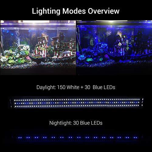 NICREW ClassicLED Aquarium Light, Fish Tank Light with Extendable Brackets, White and Blue LEDs