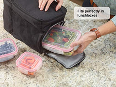 Vibz Glass Food Storage Containers - 18 Piece - Prep, Freeze, Reheat, Bake, Oven Safe Containers for Home and Work - Lunch Containers Portion Control Containers - We Make Mommies Happier