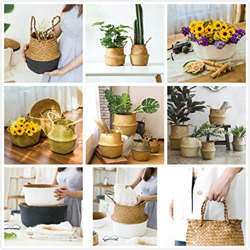 Natural Seagrass Belly Basket with Handles Seagrass Planter for Fig Indoor Plants