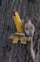 Picnic Table Squirrel Feeder