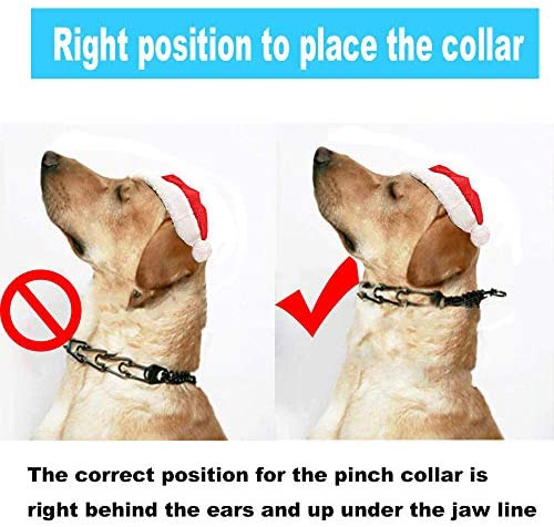 Supet Dog Prong Training Collar, Adjustable Pet Training Pinch Collar, Ultra-Plus Collar with Silver Plating for Small Medium Large Dogs