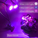 Grow Light for Indoor Plant - Grow Lamp Dual Head Growing Lights Adjustable Gooseneck Full Spectrum LED 10W hydroponic Bulb for House Plants, Seedling, Blooming Fruiting, Office [2018 Upgraded]