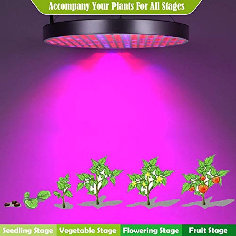 HYD-Parts 50W LED Plant Grow Lights, Shengsite UFO 250 LEDs Indoor Plants Growing Lamp with Red Blue Spectrum,Hydroponics Growth Light for Seedling,Vegetative&Flowering