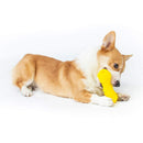EETOYS Puppy Teething Toys Dog Chew Toys for Aggressive Chewers Made W/Non-Toxic TPE (Small,Whistle Bone) by EETOYS MARKET LEADER PET LOVER