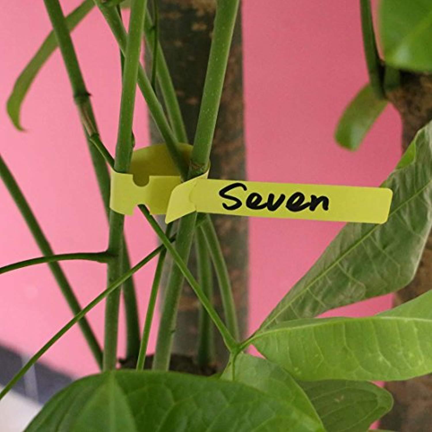 Useekoo Plastic Plant Nursery Garden Labels, 600 Pcs Wrap Around Plastic Tree Tag, Pot Marker Garden Stake Tags (21x2cm, 5color)