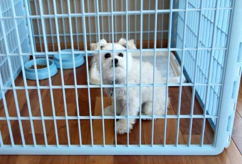 IRIS USA 24'' Exercise and Pet Playpen