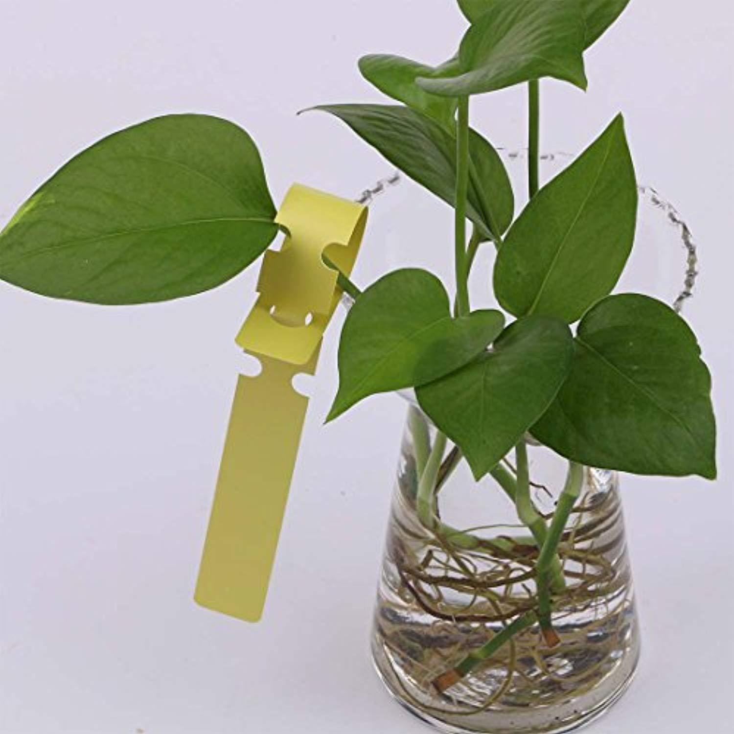 Useekoo Plastic Plant Nursery Garden Labels, 600 Pcs Wrap Around Plastic Tree Tag, Pot Marker Garden Stake Tags (21x2cm, 5color)
