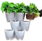 Worth Watering Indoor Outdoor Vertical Wall Hangers with Pots Included Wall Plant Hangers Each Wall Mounted Hanging Pot has 3 Pockets 36 Total Pockets
