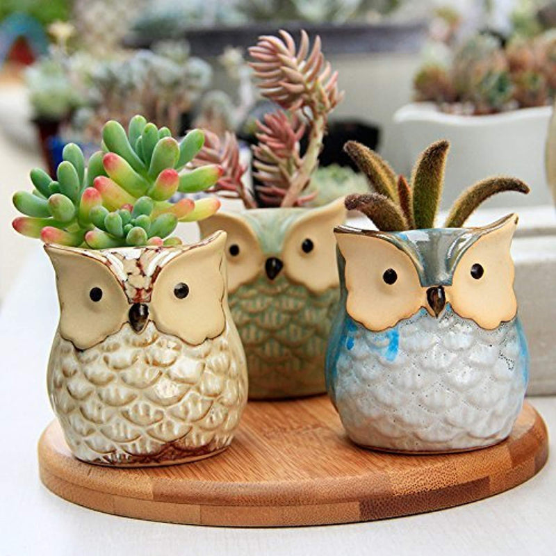 6 Pcs Mini Small Ceramic Owl Succulent Plant Pot Flower Planter Holder Cactus Planter Pot Flower Pot Container Planter