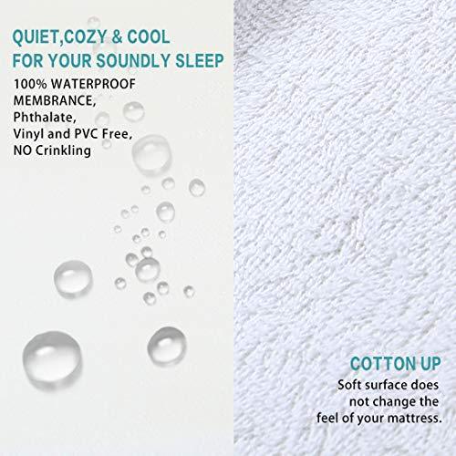 EMONIA Queen Size Waterproof Mattress Protector Hypoallergenic Pad Cover Breathable Fitted Style 8"-21"