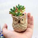 6 Pcs Mini Small Ceramic Owl Succulent Plant Pot Flower Planter Holder Cactus Planter Pot Flower Pot Container Planter