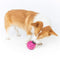 EETOYS Dog Treat Ball Non Toxic Rubber Dog Ball Food Dispensing IQ Dog Toy Reduce Boredom Dental Hygiene Teething by EETOYS MARKET LEADER PET LOVER