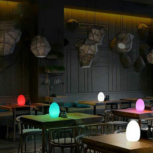 LED Light Ball LOFTEK: 8-inch RGB Dimmable Globe Mood Lamp with Remote Control, 16 Colors Changing Floating Pool Lights, 5V USB Fast Charging, IP68 Waterproof Orbs,Perfect for Nursery or Decor Use