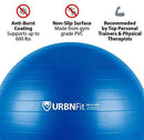 URBNFit Exercise Ball (Multiple Sizes) for Fitness, Stability, Balance & Yoga - Workout Guide & Quick Pump Included - Anti Burst Professional Quality Design