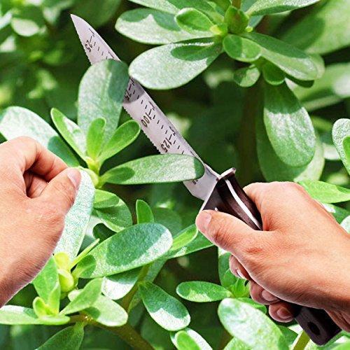 12'' Hori Hori Garden Knife,Perfect Garden Tool for Gardening,Landscaping&Digging(7'' Stainless Steel Blade with Ruler&Wood Handle), Leather Sheath, Plus Free Paper Knife!