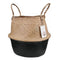 Natural Seagrass Belly Basket with Handles Seagrass Planter for Fig Indoor Plants