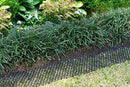 Homarden Garden Cat Scat Mat – Anti-cat and pest Prickle Strip (6.5 ft) - 8 Garden Staples Included