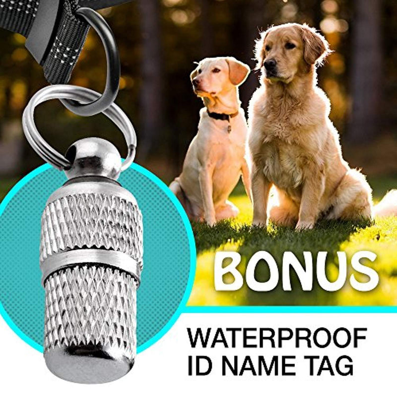 Benicci Hands Free Waist Dog Leash - Strong, Durable & Safe - For Jogging, Walking & Hiking - For Medium and Large Dogs & Multiple Dog Owners - With FREE ID Tag - Adjustable Waist with 5 Color