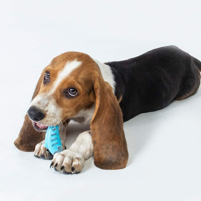 EETOYS Dog Bone Toys Dental Health Reduces Boredom Release Excess Energy Toy Made W/Non-Toxic PU Dual Color (Seahorse & Tuna) by EETOYS MARKET LEADER PET LOVER