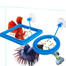 FLOURITHING 2 Pcs Fish Feeding Ring, Fish Safe Floating Food Feeder Circle Blue, with Suction Cup Easy to Install Aquarium, Square and Round Shape, for Guppy, Betta, Goldfish, Etc.
