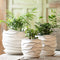 White Ceramic Flower Plant Pots Indoor Garden Plants Containers with Saucers, Set of 3