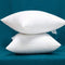 YSTHER Set of 2, Down and Feather Cushion, Decorative Throw Pillow Insert 18x18 for Couch