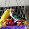 BWOGUE 5pcs Bird Parrot Toys Hanging Bell Pet Bird Cage Hammock Swing Toy Hanging Toy for Small Parakeets Cockatiels, Conures, Macaws, Parrots, Love Birds, Finches