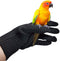 QBLEEV Bird Training Anti-Bite Gloves, Small Animal Handling Gloves, Chewing Protective Gloves for Parrot Squirrels Hamster Hedgehog (1 Pair)
