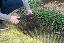 Homarden Garden Cat Scat Mat – Anti-cat and pest Prickle Strip (6.5 ft) - 8 Garden Staples Included