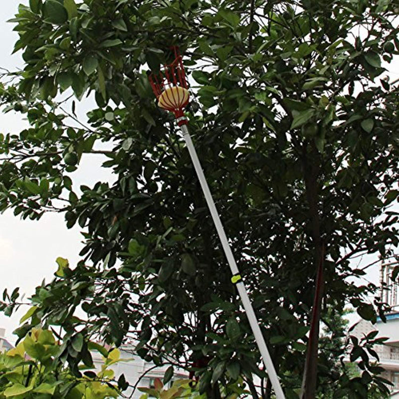 Fruit Picker Tool, 13-foot Fruit Picker with Light-weight Aluminum Telescoping Pole, Fruit Picking Equipment for Getting Apple Oranges and Fruits tree