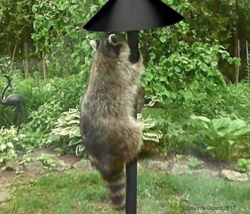 Squirrel Guard Baffle Protects Hanging Bird Feeders & Poles - Raccoon & Squirrel Proof Your Bird Feeders & Bird Houses - 17 inch