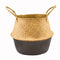 Natural Seagrass Belly Basket with Handles Seagrass Planter for Fig Indoor Plants