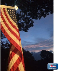 Annin Flagmakers American Flag All-Weather Nylon SolarGuard Nyl-Glo, 6 x 10 Feet (Model 2300)