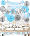 LUCK COLLECTION Girls Baby Shower Party Decorations It’s A Girl Baby Shower Decorations Kit with Oh Baby Foil Balloons It’s A Girl Banner Tissue Paper Pompoms Lanterns Honeycomb Balls