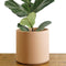Indoor Flower Pot | Large Modern Planter, Terracotta Ceramic Plant Pot - Plant Container Great for Plant Stands (8.5 inch, Black)