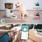 Holipet Automatic Cat Feeder WiFi Enable Smart Pet Dog Food Dispenser App Control for Medium Small Pet Puppy Kitten,Voice Recorder Distribution Alarms, Portion Control (Pearl White)
