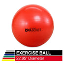 TheraBand Exercise Ball, Professional Series Stability Ball with 55 cm Diameter for Athletes 5'1" to 5'6" Tall, Slow Deflate Fitness Ball for Improved Posture, Balance, Yoga, Pilates, Core, Red