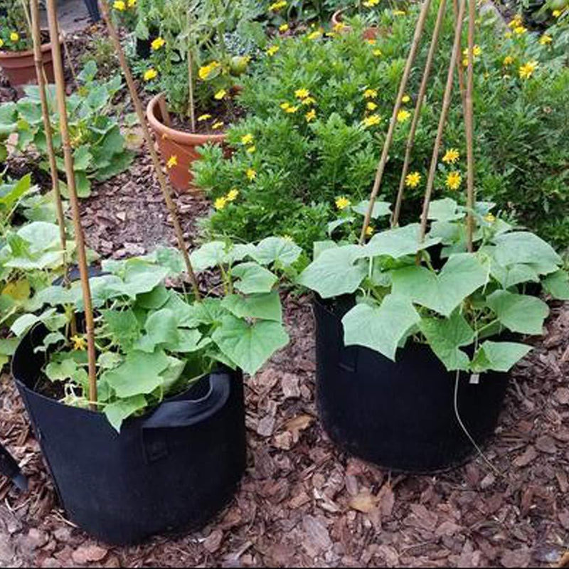 Infinite Cedar 2-Gallon 6-Bag Grow Bag/Aeration Fabric Plant Pots with Green Handles for Potatoes and Plants