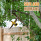 Tapix Bird Repellent Device 10 Pack Reflective Bird Diverters Hanging Spiral Ornamental Bird Deterrent Product Effectively Keeps Birds Away 11 inch Attractive Bird Scare Rods