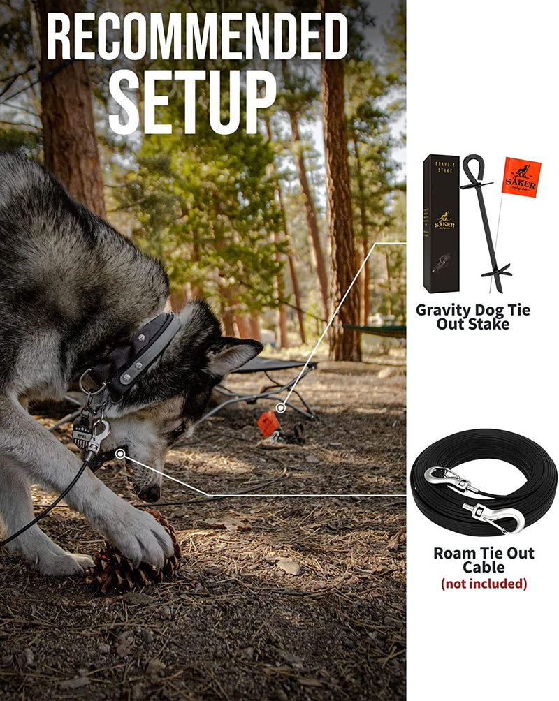 SÄKER  Dog Tie Out Stake - Holds 2 Large Dogs over 207lbs Easily - Lifetime Replacement - Heavy Duty Strongest Dog Anchor | Large Dog Stake for Peace of Mind in the Yard, in Camping or at the Beach