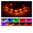 Blazin' Safety LED Dog Collar – USB Rechargeable with Water Resistant Flashing Light