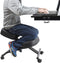 Ergonomic Kneeling Chair Home Office Chairs Thick Cushion Pad Flexible Seating Rolling Adjustable Work Desk Stool Improve Posture Now & Neck Pain - Comfortable Knees and Straight Back by Defy Desk