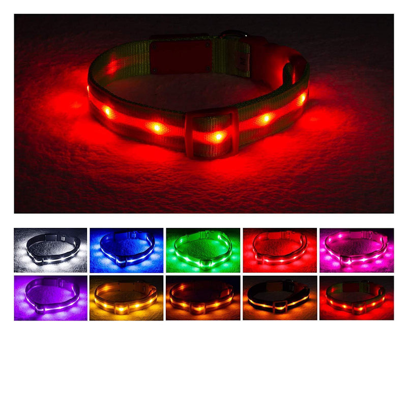 Blazin' Safety LED Dog Collar – USB Rechargeable with Water Resistant Flashing Light