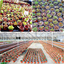 Akarden 100 Pcs 4.4” Plastic Nursery Pot/Pots, Plant Pots, Flower Plant Container Seed Starting Pot