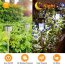 avepio Solar Lights Outdoor [16pack]-Solar Powered Pathway Bright White-Landscape Light for Lawn/Patio/Yard/Walkway/Driveway, Stainless Steel