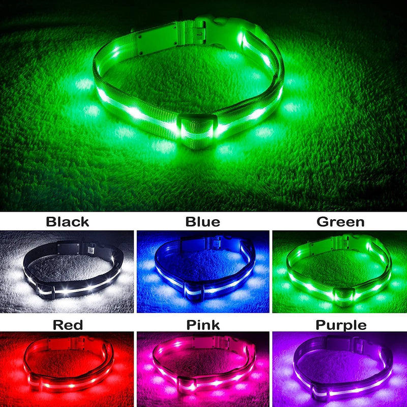 Blazin' Safety LED Dog Collar – USB Rechargeable with Water Resistant Flashing Light